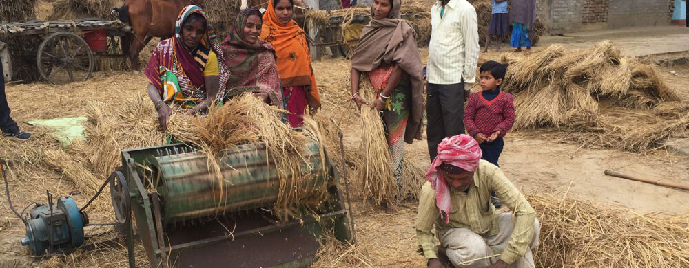 Threshing Winter 2014